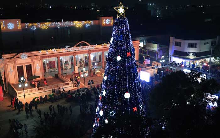 Viven la magia de la Navidad en Guadalupe con el encendido del pino 1 ar