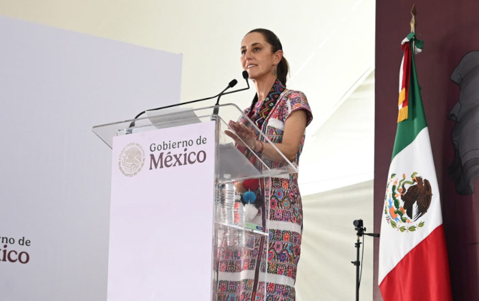 2025-01-17_Entrega_de_tarjetas_Pensio_n_Mujeres_Bienestar_-_San_Marcos_-_Guerrero_15