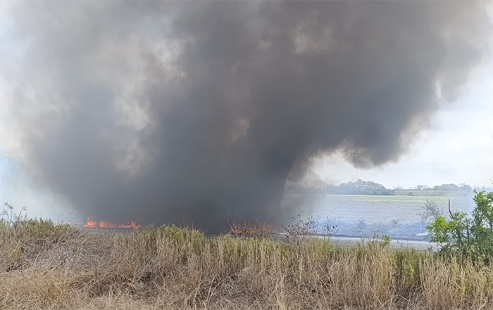 Se incendia camioneta; cierran carretera Victoria-Matamoros 2 467487245 1644430869828505 7868124244053599827 n