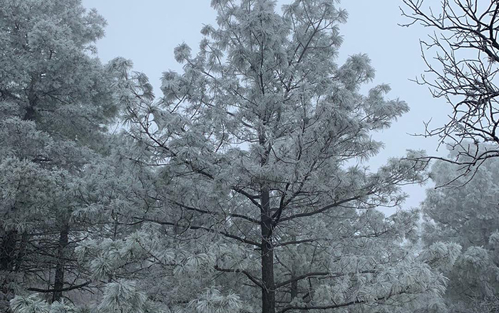 Cae nieve en la Sierra de Santiago – Hora Cero Web