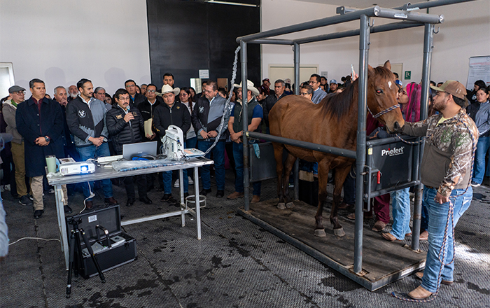 Equipa la UAT con alta tecnología Hospital Veterinario de Grandes Especies 1 474446666 1633219813969172 5454455066615208606 n