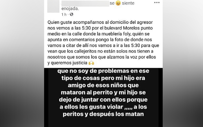 Estallan redes sociales ante agresión a lomito; organizan protesta 1 post