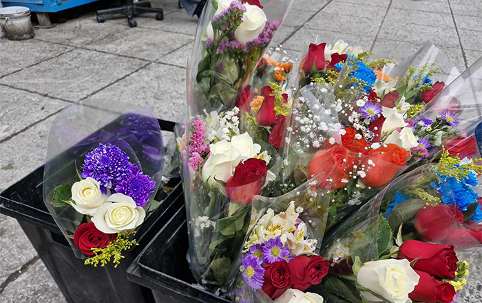 Comienza lo bueno en la venta de flores 3 473668913 628289556446738 6264737157435802304 n copia