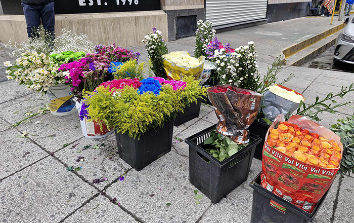 Comienza lo bueno en la venta de flores 1 473678060 1324340828617226 7910937922737919735 n copia