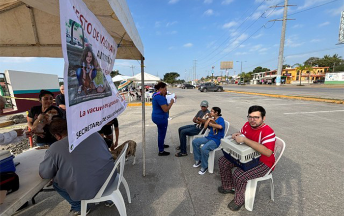 Realizan campaña de vacunación en modalidad drive thru 2 477996524 1311220053458562 4235694443139318730 n