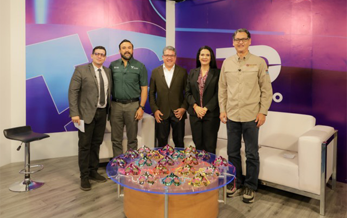 Despierta expectativa Carnaval Conurbado Tampico 2025 1 480805912 628476573162318 7179180713219453041 n