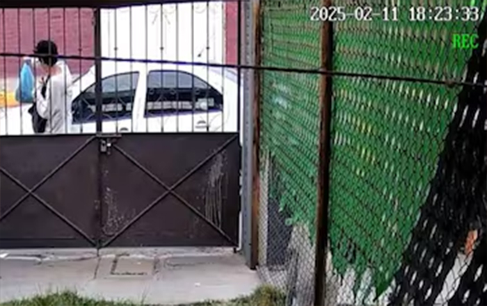 BEBE 2