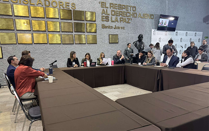 DIPUTADOS NL