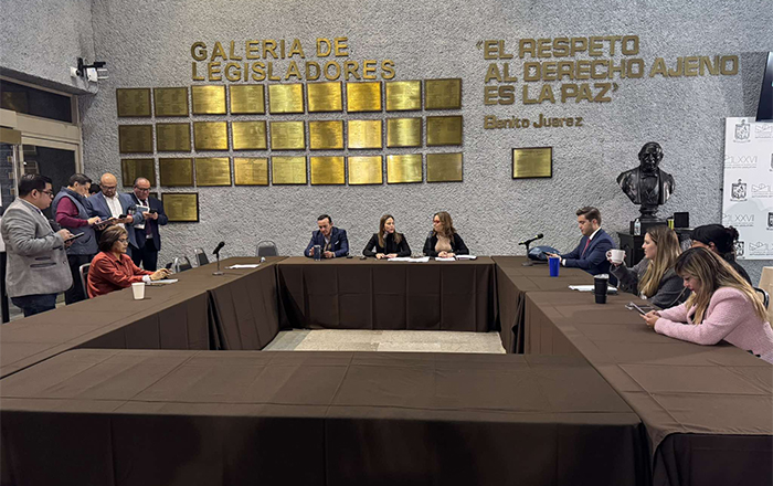 DIPUTADOS NL