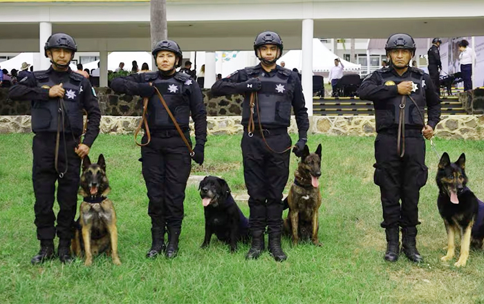 PERRITOS