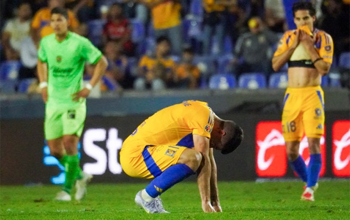 TIGRES