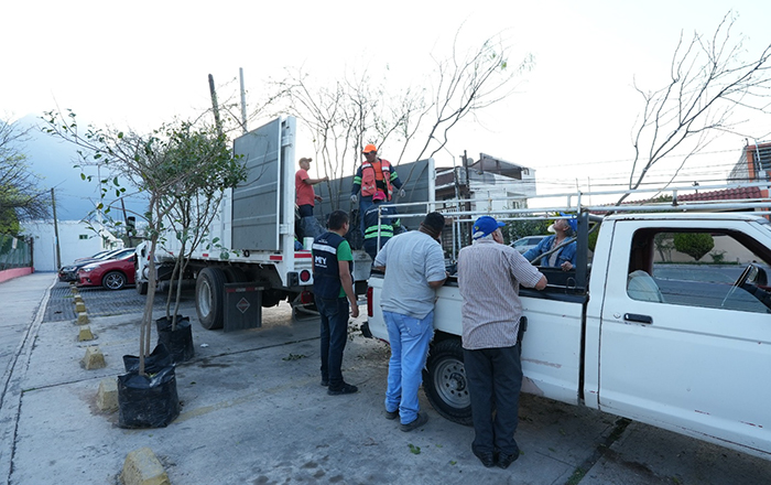 Invita Monterrey a participar en el programa 'Adopta un árbol Mty' 2 dfe229eb fe71 4809 9423 0de74ed03fb0