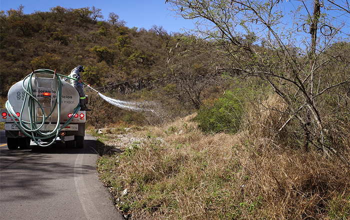 Implementa David de la Peña medidas de prevención de incendios en la Sierra 2 481689509 1178314750342595 5616586059390291315 n