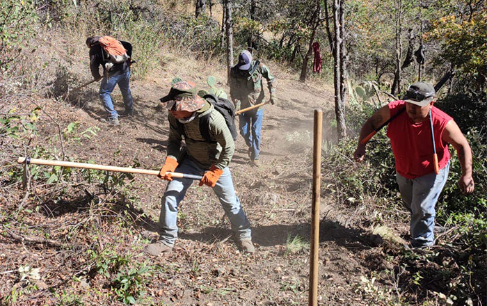 Implementa David de la Peña medidas de prevención de incendios en la Sierra 1 481978320 1178314867009250 2133432395353350110 n