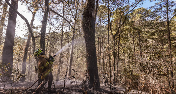 Liquidan incendio en la Sierra de Santiago 4 481998666 1179817173525686 4161306330585432867 n