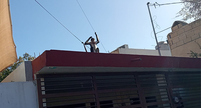 Rescatan a mono araña en San Nicolás 2 483377704 586954460977532 4212146348444403968 n
