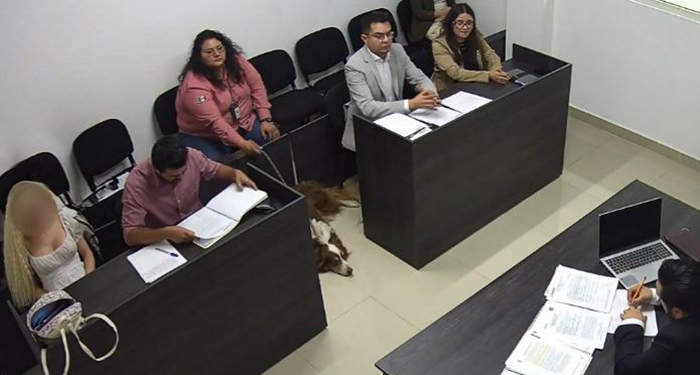 Presenta Manuel Guerra Cavazos primer infractor de animalitos ante justicia civica 2 483438809 671914275368265 8243696418435562789 n
