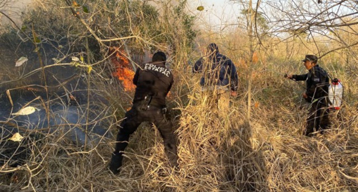 Activa SSPT Plan Tamaulipas por incendios forestales y de pastizales 1 483954861 508862428946733 1640041648827173273 n