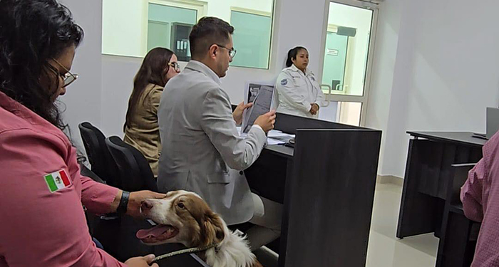 Presenta Manuel Guerra Cavazos primer infractor de animalitos ante justicia civica 1 484788908 653716380935022 5513710315643120775 n