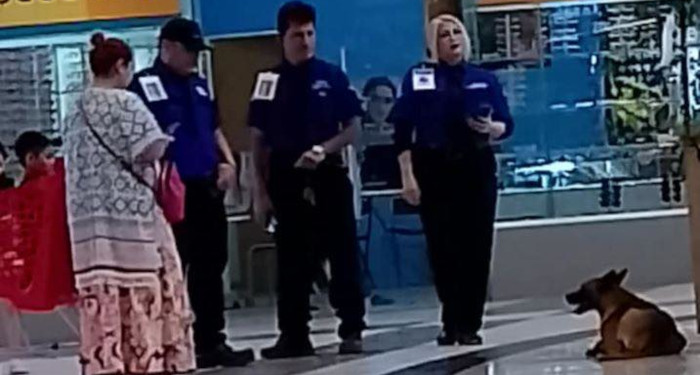 485926710_633970226151365_6615646009496890699_n