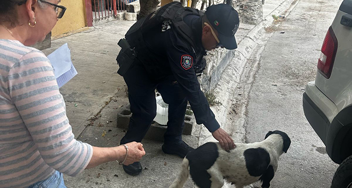 Detienen a violador de perros en Guadalupe 1 486022367 516853307894531 3044018324361899424 n