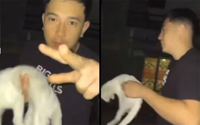 GATO