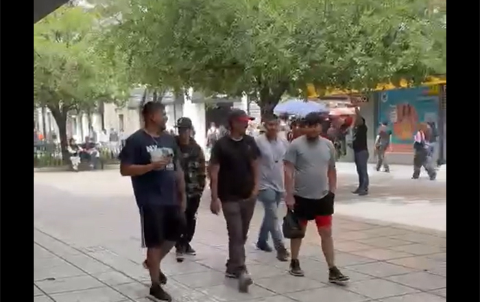 PASEANTES