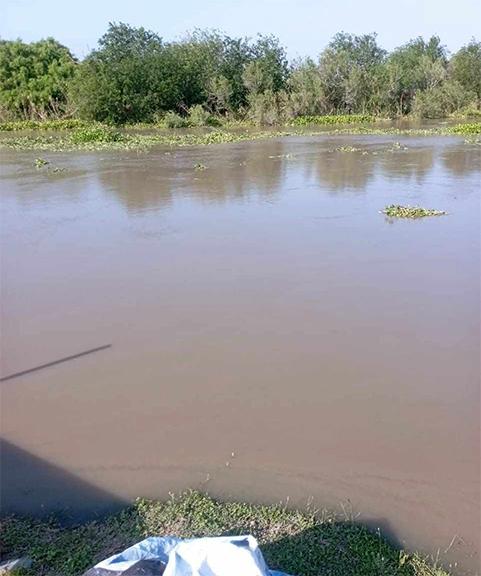 Emiten alerta ante posible desbordamiento del río Bravo en Matamoros 1 RIO BRAVO 2