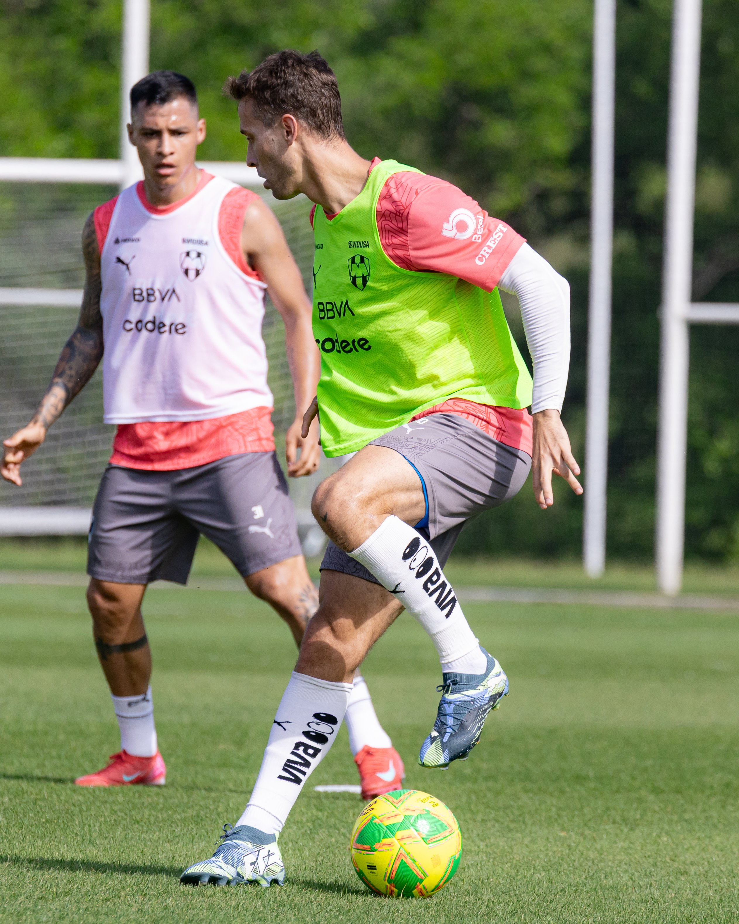 Demichelis: con plantel completo para Chivas 1 487423631 1000956678842803 1756139077571259655 n