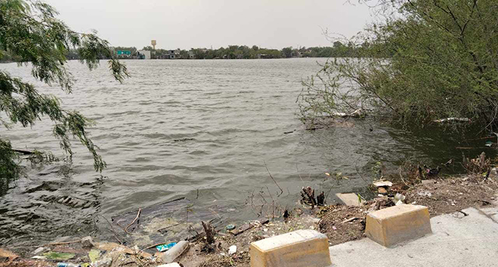 Permanecen calicheras de Reynosa a su máxima capacidad 1 487981735 1888764198563861 6402709272133226353 n