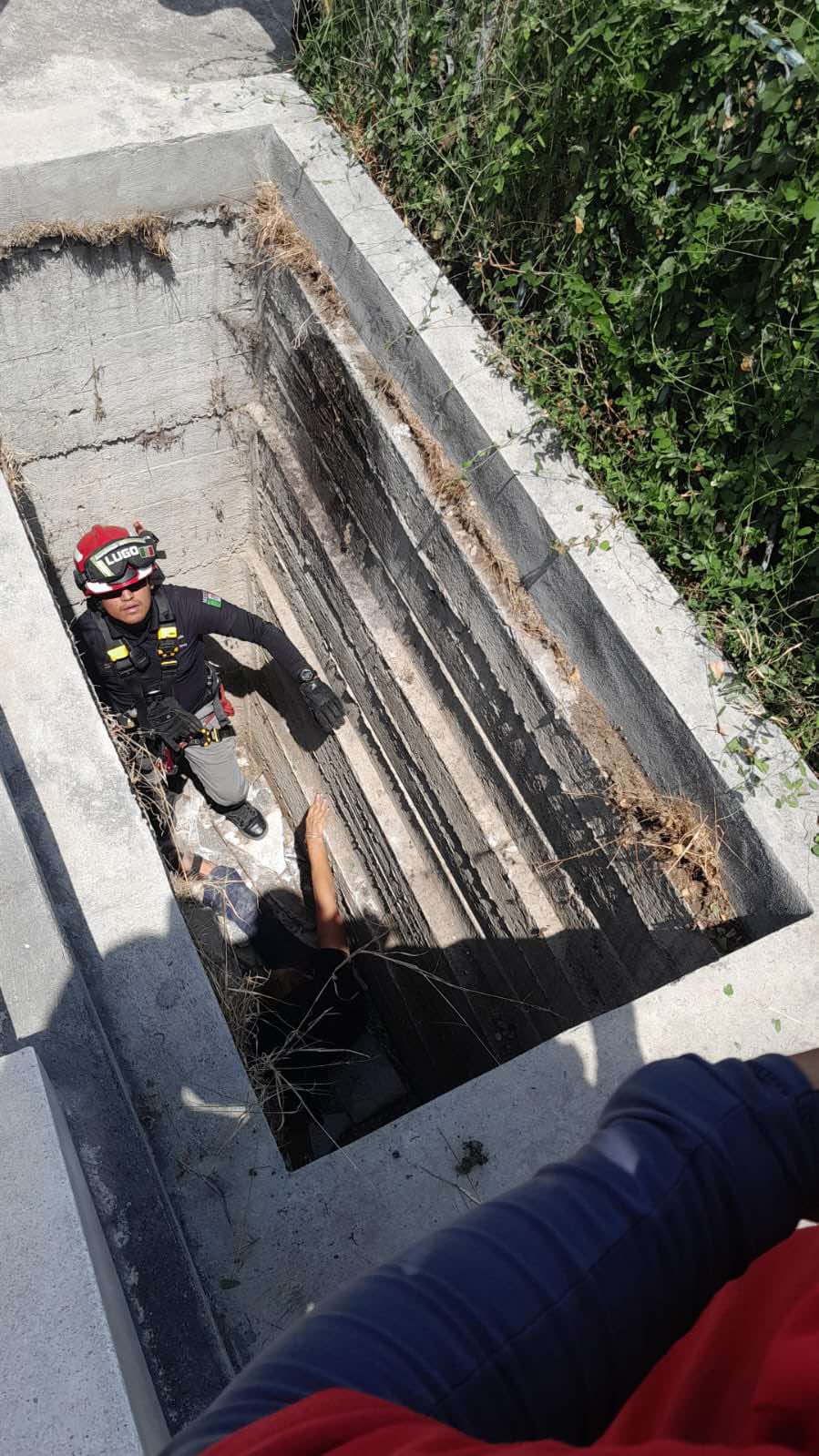 Cae mujer a tumba en panteón de Monterrey 2 490476598 1068605731959973 6213976474517795918 n