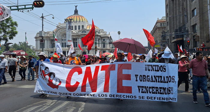 CNTE_KauSirenio1