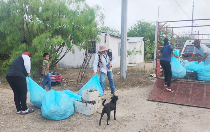 IMSS Tamaulipas promueve acciones para prevenir el dengue 1 DENGUE 2