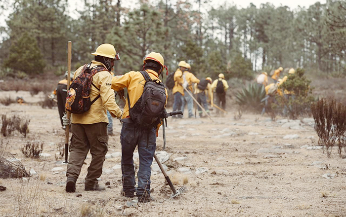 Controlan en Galeana incendios al cien por ciento 1 GALEANA 2 1