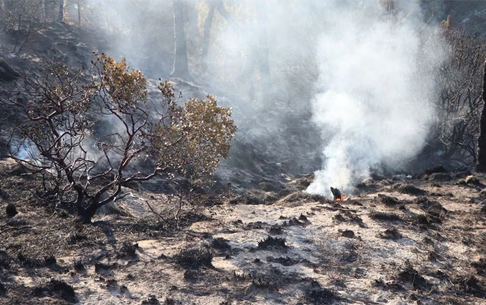 INCENDIO