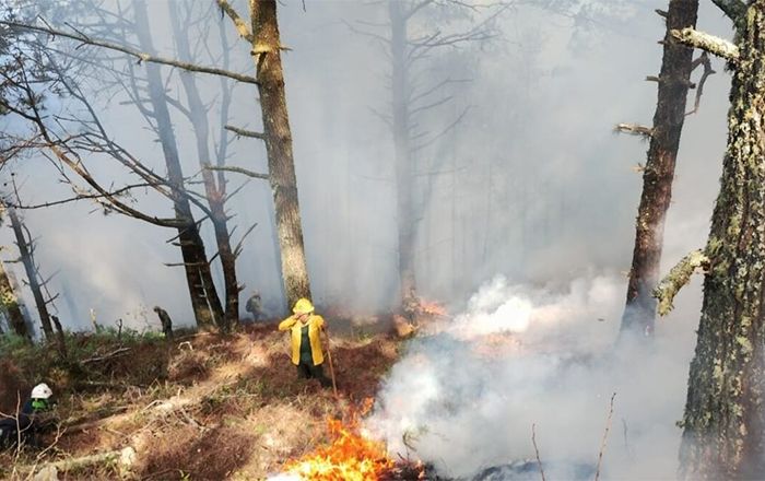 INCENDIO TAM