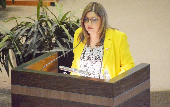 Habrá 2 mil 600 millones de pesos para transformar transporte del sur 1 KARINA LIZETH