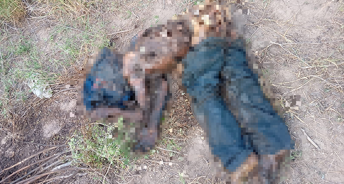 ‘Amor por los Desaparecidos de Tamaulipas’ localiza cuerpo en ‘San Valentín’ 1 494362170 9795781567143631 6415234016343034739 n