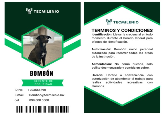 Piden ayuda para localizar a ‘Bombon’ perrita de TecMilenio Reynosa 3 494823604 688670380818651 7120451413701701221 n
