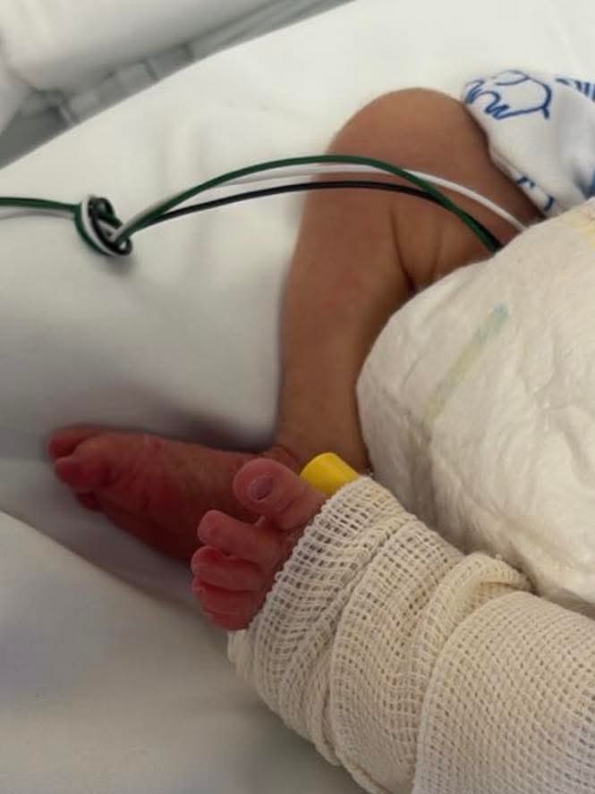 Nacen trillizos en el Hospital Materno Infantil de Reynosa 3 494860681 731804219400010 2766352678125899578 n