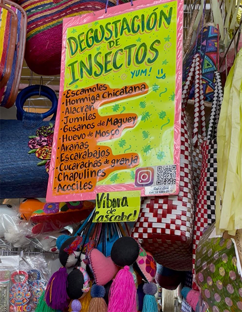 ¿Te comerías una tarántula? (VIDEO) 1 DEGUSTACION