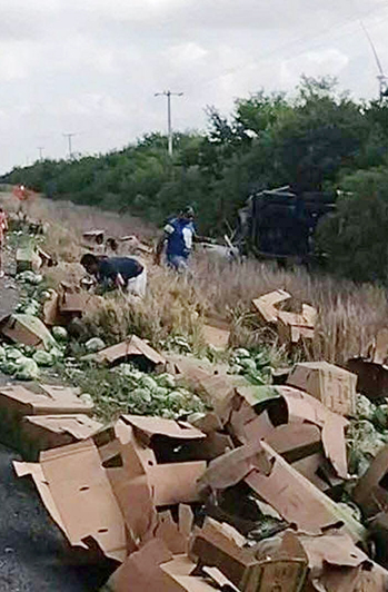 Se vuelca camión de repollos en carretera a San Fernando: ¿qué pasó después? 1 REPOLLOS 2
