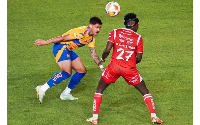 TIGRES
