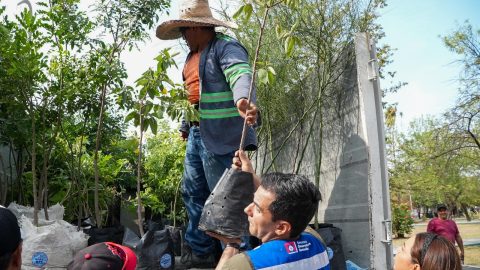 Avanza con éxito proyecto 'Adopta un Árbol Mty' 1 WhatsApp Image 2025 05 29 at 3.57.38 PM 2