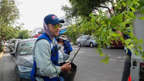 Avanza con éxito proyecto 'Adopta un Árbol Mty' 2 WhatsApp Image 2025 05 29 at 3.57.38 PM 3