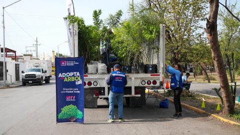 Avanza con éxito proyecto 'Adopta un Árbol Mty' 3 WhatsApp Image 2025 05 29 at 3.57.38 PM