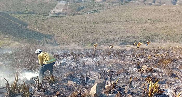 Incendio en el Cerro de las Mariposas ya está bajo control 1 a2d7d0db 47cd 4f68 8651 7cf5b78bc177