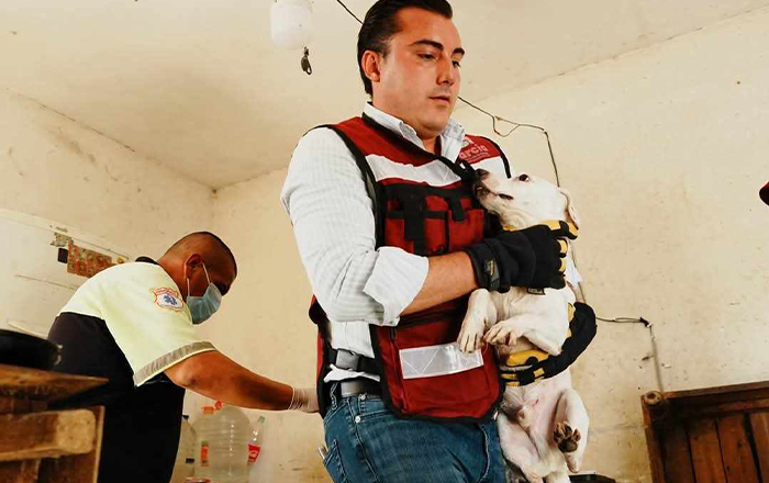 Rescatan a 17 'lomitos' en García 1 g1
