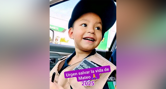 mateo
