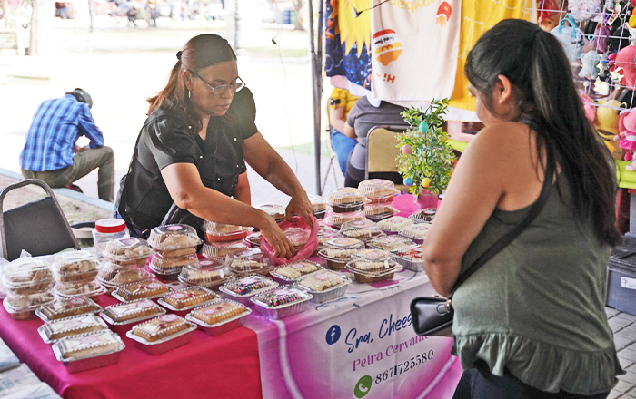 Invita INMUJER a disfrutar de la "Mercadita de la Red" en Plaza Hidalgo 1 mercadita2